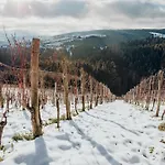빌라 Am Wildbachberg - Luxus Ferienhaeuser Mit Infinitypool, Privatsauna Und Weinkeller 도이치란즈베르그