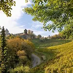 Am Wildbachberg - Luxus Ferienhaeuser Mit Infinitypool, Privatsauna Und Weinkeller *