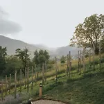 Am Wildbachberg - Luxus Ferienhaeuser Mit Infinitypool, Privatsauna Und Weinkeller