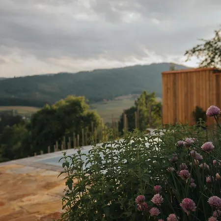 Am Wildbachberg - Luxus Ferienhaeuser Mit Infinitypool, Privatsauna Und Weinkeller * دويتشلاندزبرغ