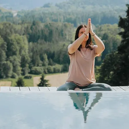 Am Wildbachberg - Luxus Ferienhaeuser Mit Infinitypool, Privatsauna Und Weinkeller *