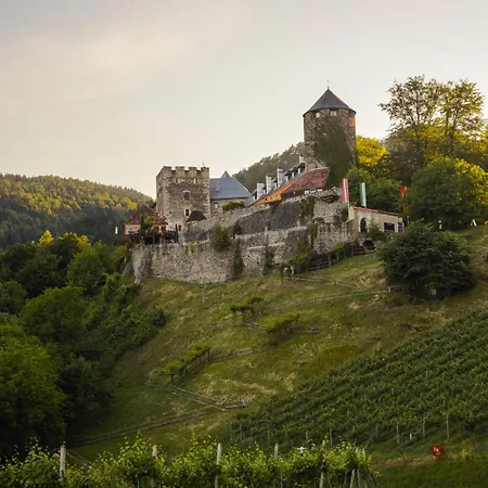 Am Wildbachberg - Luxus Ferienhaeuser Mit Infinitypool, Privatsauna Und Weinkeller * دويتشلاندزبرغ