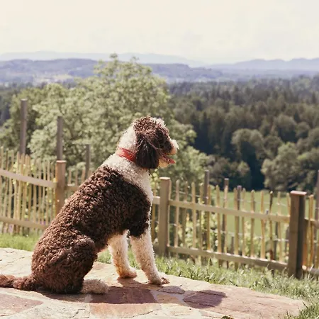 Am Wildbachberg - Luxus Ferienhaeuser Mit Infinitypool, Privatsauna Und Weinkeller * 도이치란즈베르그