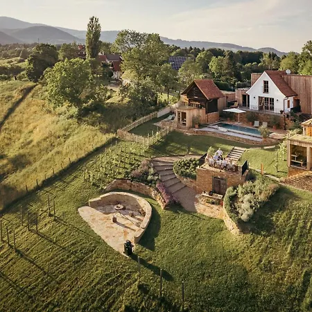 Am Wildbachberg - Luxus Ferienhaeuser Mit Infinitypool, Privatsauna Und Weinkeller