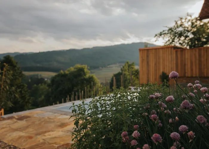 Am Wildbachberg - Luxus Mit Infinitypool, Privatsauna Und Weinkeller * Deutschlandsberg