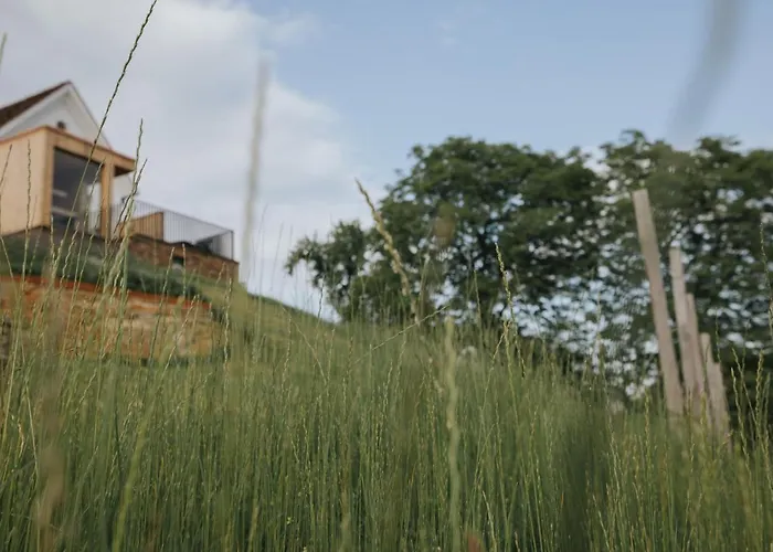 Am Wildbachberg - Luxus Mit Infinitypool, Privatsauna Und Weinkeller Villa Deutschlandsberg