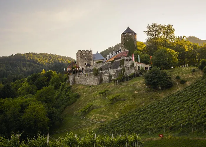 Am Wildbachberg - Luxus Ferienhaeuser Mit Infinitypool, Privatsauna Und Weinkeller * דויטשלנדסברג