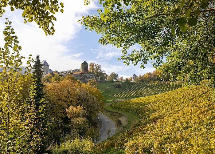 Am Wildbachberg - Luxus Ferienhaeuser Mit Infinitypool, Privatsauna Und Weinkeller *
