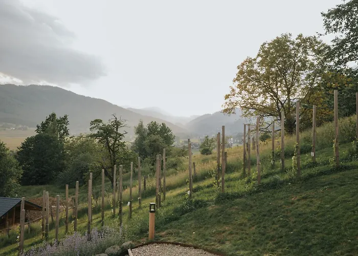 Am Wildbachberg - Luxus Mit Infinitypool, Privatsauna Und Weinkeller