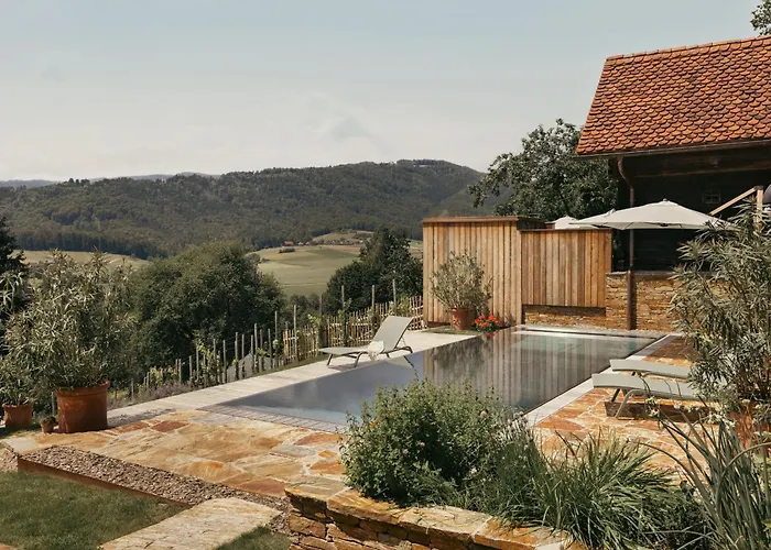 וילה Am Wildbachberg - Luxus Ferienhaeuser Mit Infinitypool, Privatsauna Und Weinkeller דויטשלנדסברג