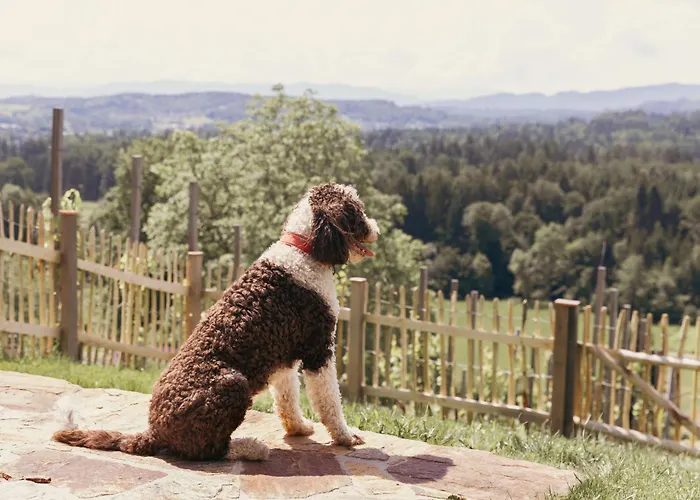 Am Wildbachberg - Luxus Ferienhaeuser Mit Infinitypool, Privatsauna Und Weinkeller * דויטשלנדסברג