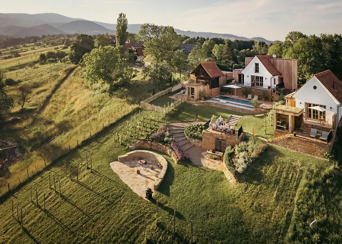 Am Wildbachberg - Luxus Ferienhaeuser Mit Infinitypool, Privatsauna Und Weinkeller